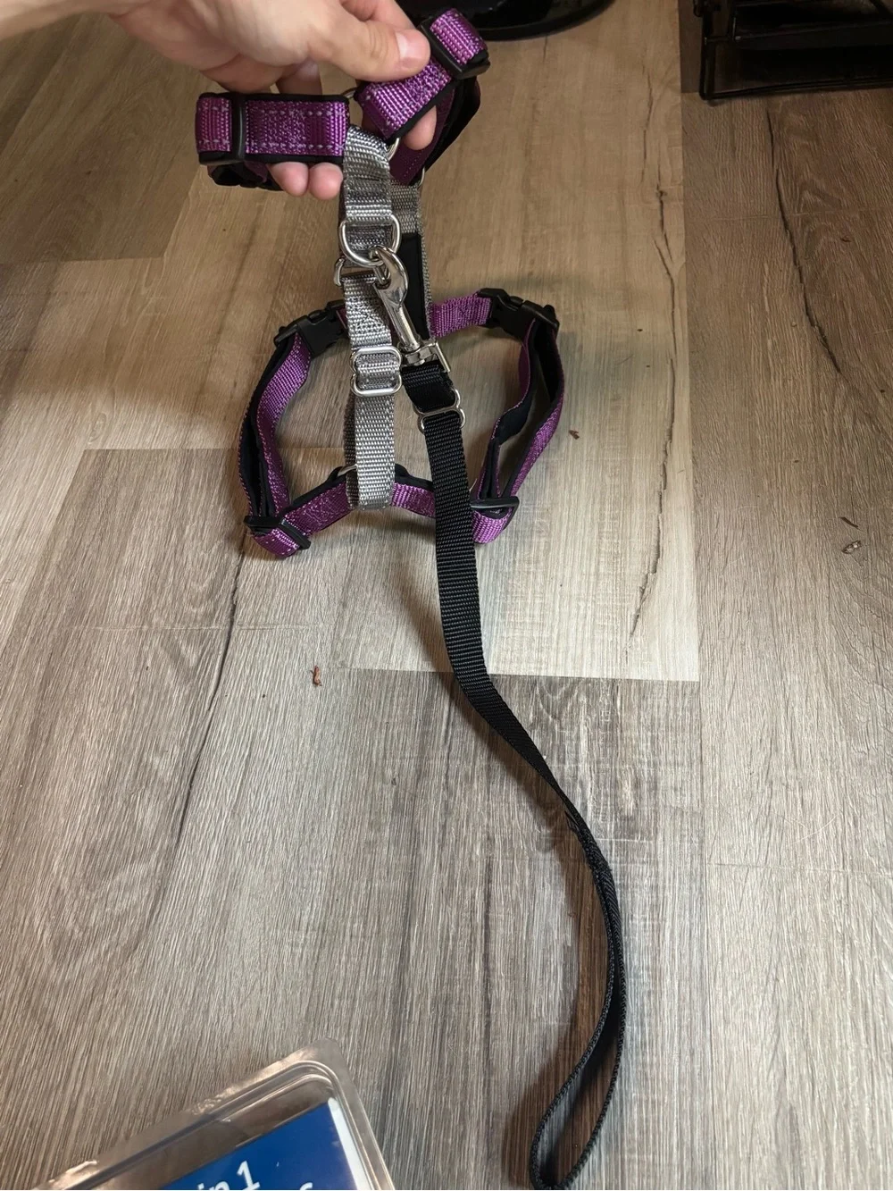 New Purple Petsafe 3 in 1 Dog Harness Collar Size Medium